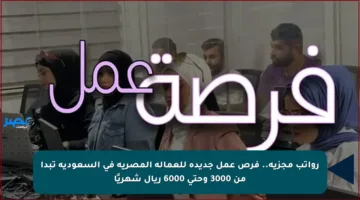 رواتب مجزية.. فرص عمل جديدة للعمالة المصرية في السعودية تبدأ من 3000 وحتى 6000 ريال شهريًا
